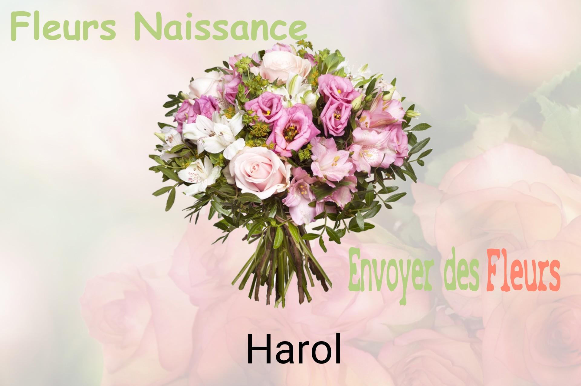 Bouquet de fleurs de naissance livré à Harol